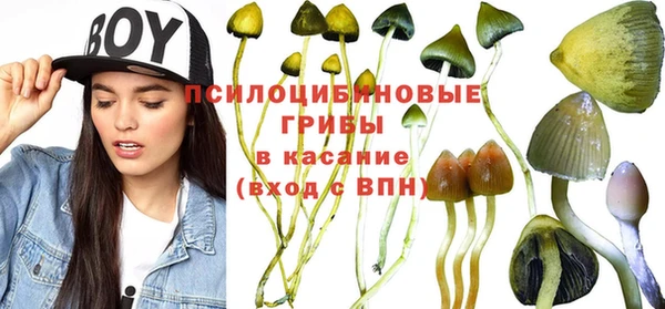 скорость Абаза